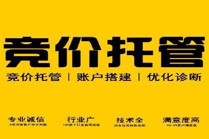 顶尖SEM竞价代运营公司案例分析
